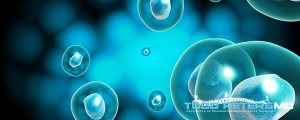 Fat Stem Cells vs Bone Marrow Stem Cells: Which One is Better for Joint Pain?